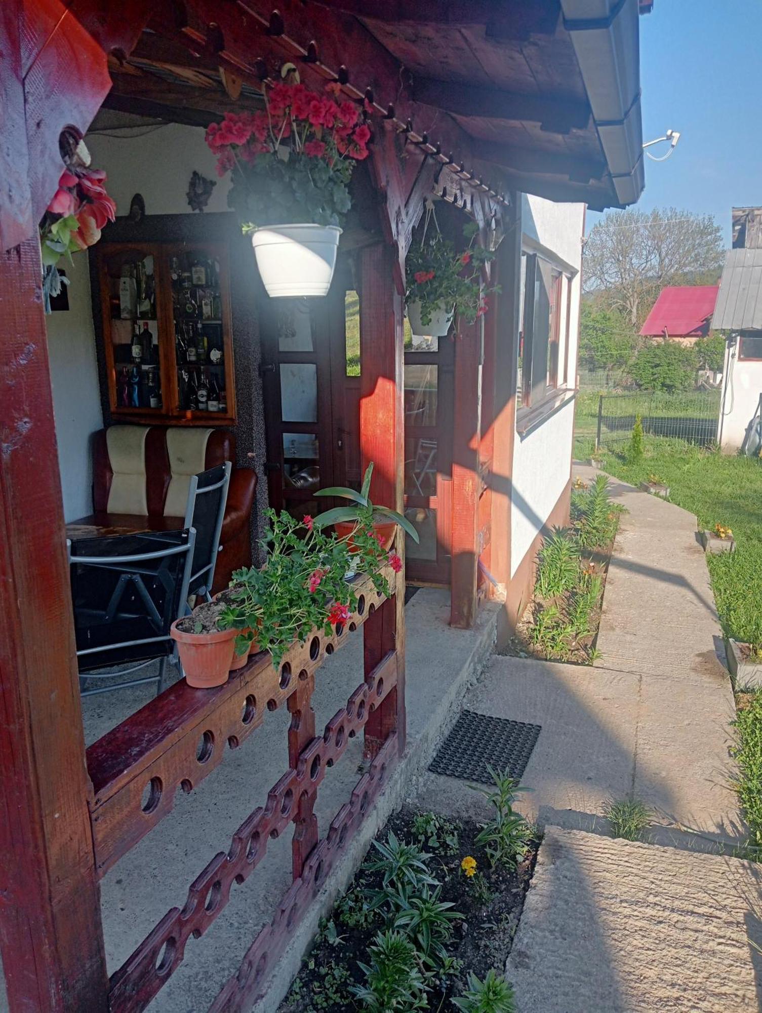 Hostal Casa Vasy Vatra Dornei Exterior foto