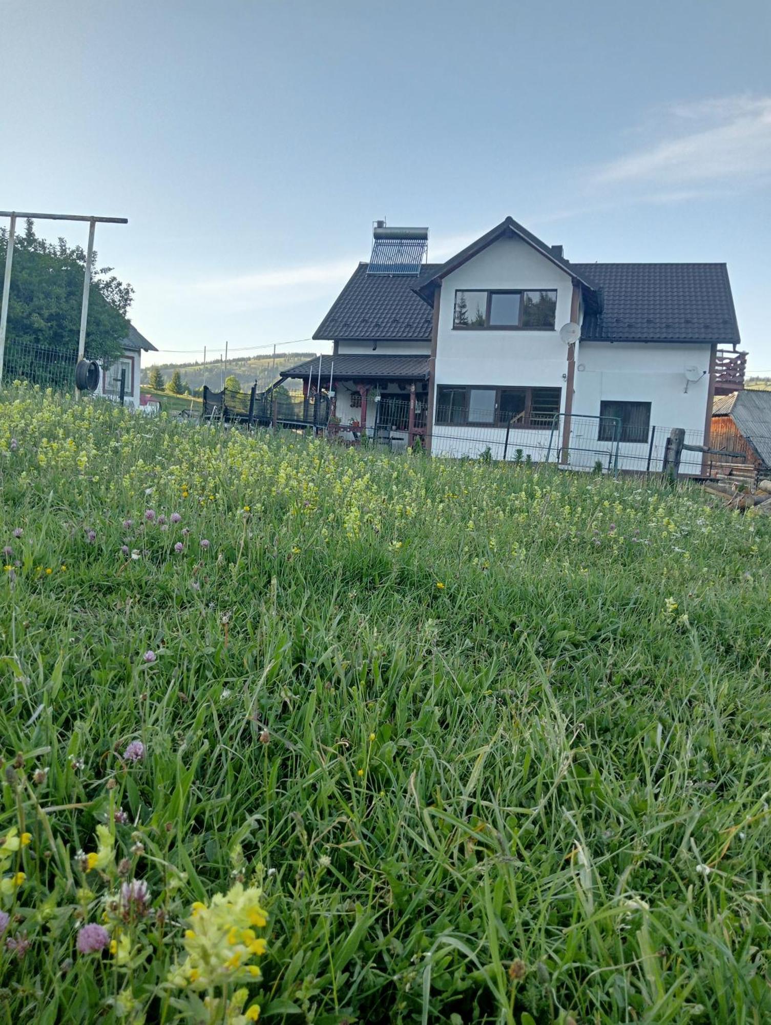 Hostal Casa Vasy Vatra Dornei Exterior foto