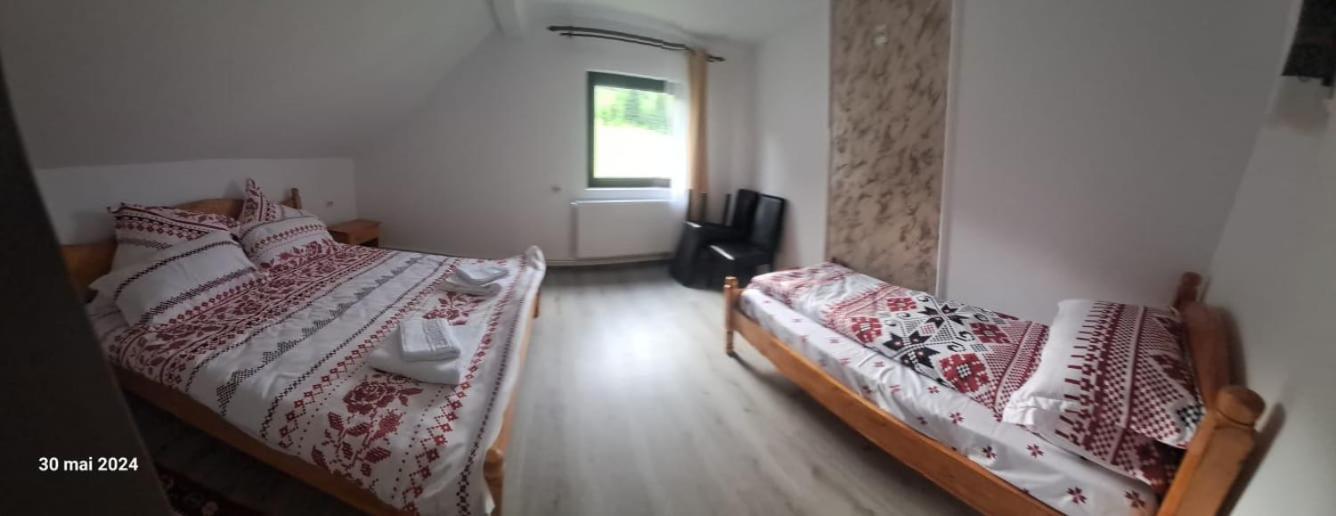 Hostal Casa Vasy Vatra Dornei Exterior foto